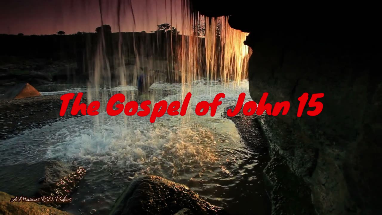 The Gospel of John 15