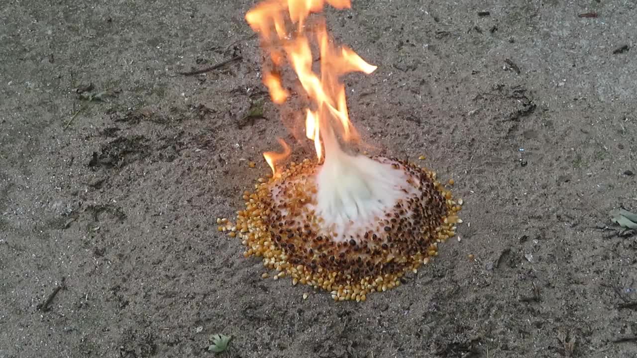 MAKING POPCORN WITH LAVA | EXPERIMENT: LAVA VS Popcorn.