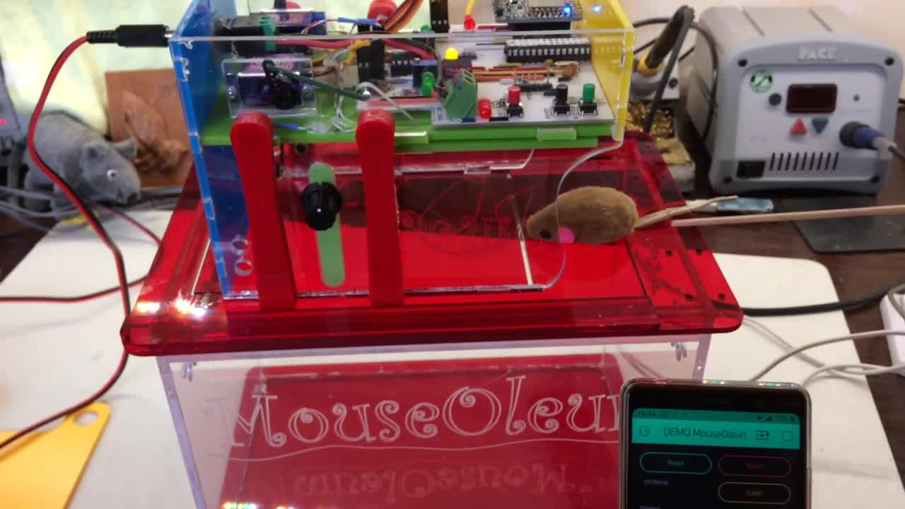 MouseOleum live catch mouse trap DEMO