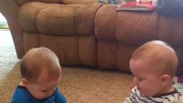 Twin babies having fun.