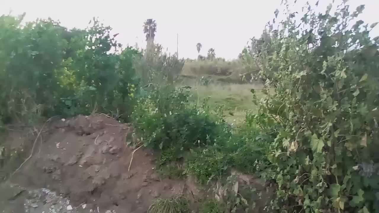 Η ΠΑΠΑΡΟΥΝΑ ΕΧΕΙ ΤΟΝ ΣΤΑΥΡΟ