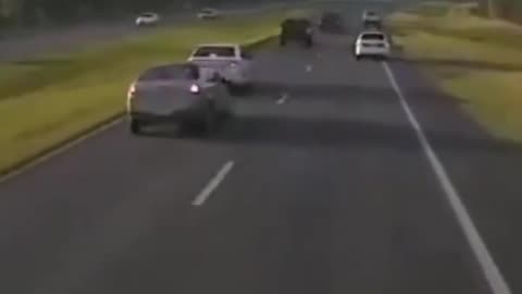 Driver Braking For Turtle Causes Multi Car Accident