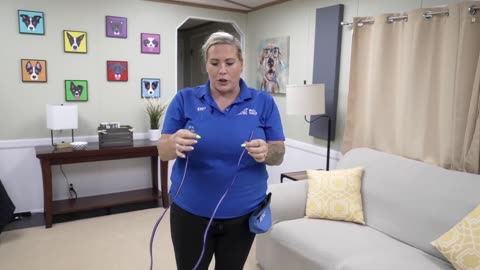 Your puppy Training plan will fail without the Se3 things
