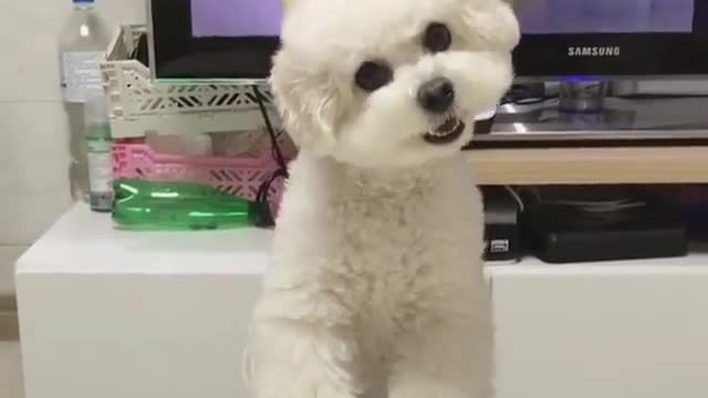 Hurry up and have dinner. I have the final say on my birthday