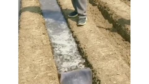 Amazing technology How do we stop flow of water in the fields