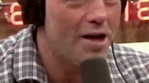 Joe Rogan Gender Tolerance