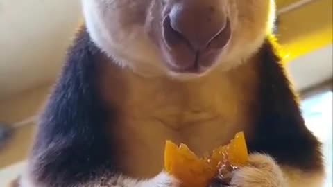 That looks very delicious 😊
