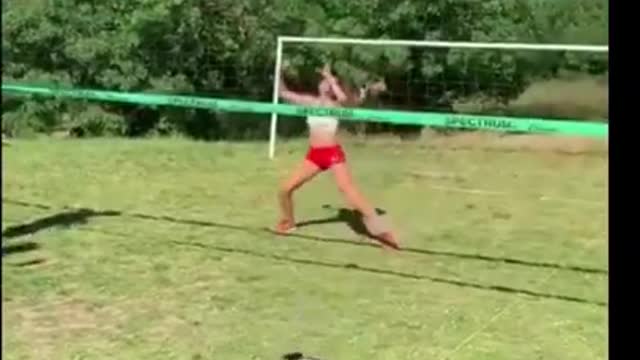 Funny dog playing volleyball playing pool and singing animal