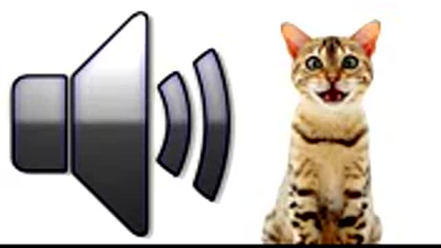 Maka hesha cida bisada