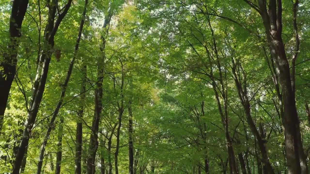 Beautiful Nature best ever