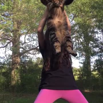 She loves that trampoline cat