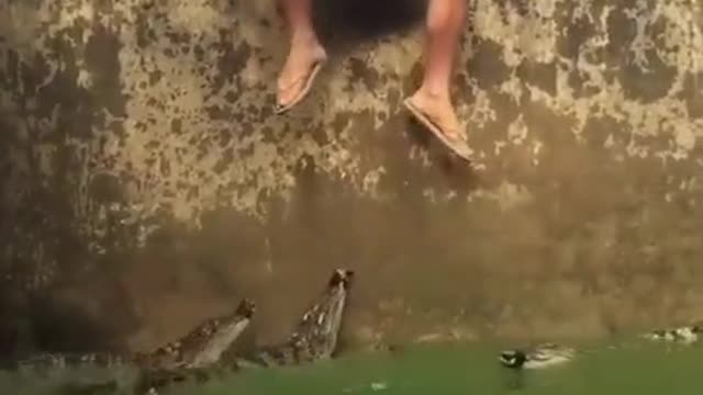 indon guy playing with crocodiles