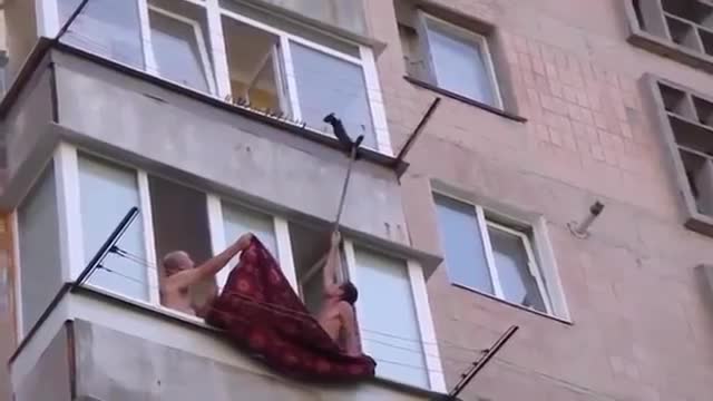 cat saved from committing suicide