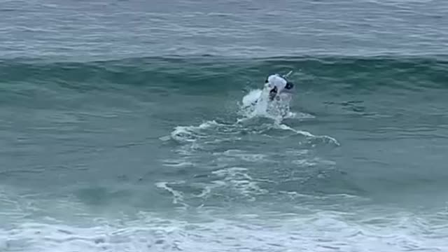 Sammy super slide