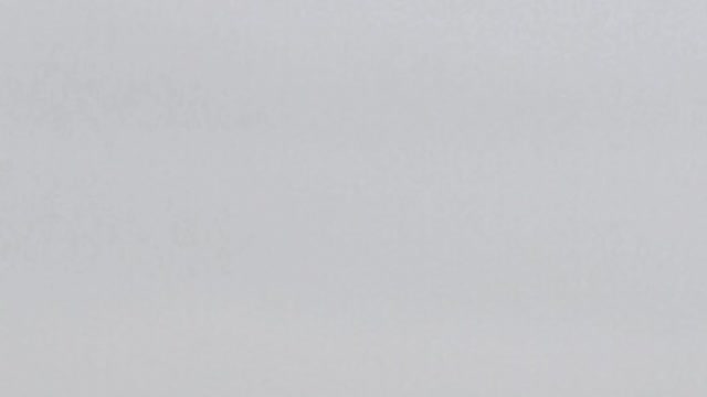 Birds on the wire