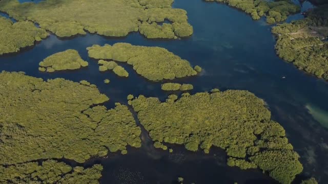 Green islands