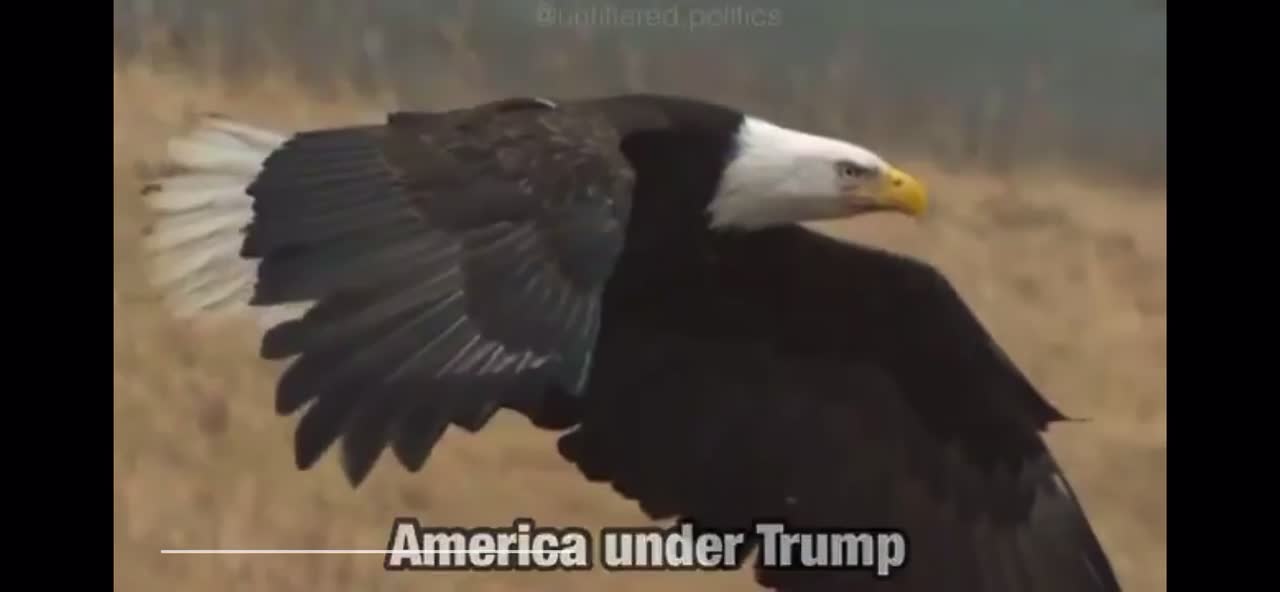 America under Trump🇺🇸