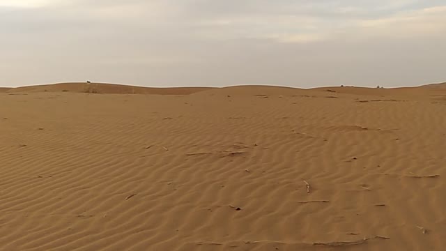 desert video 2019