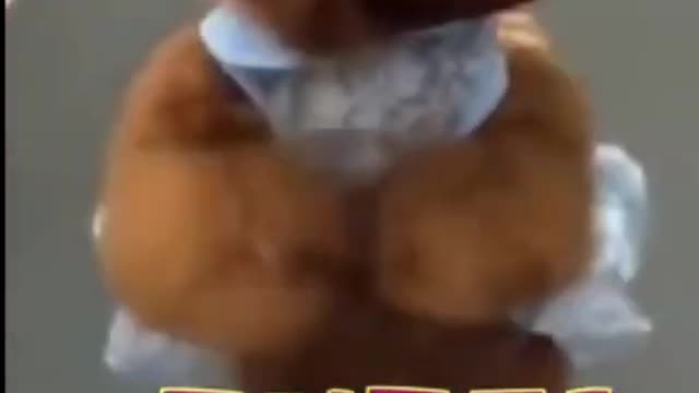 WOW so cute dog#4