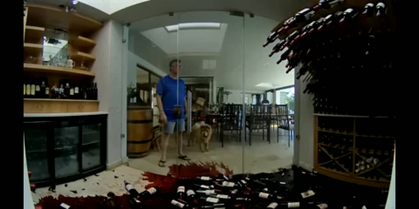 Heart breaking video for vine lovers