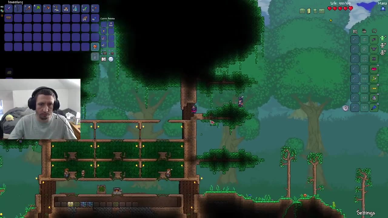 Chill Solo Classic Terraria