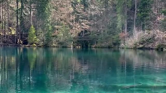 Lake beautifull nature video