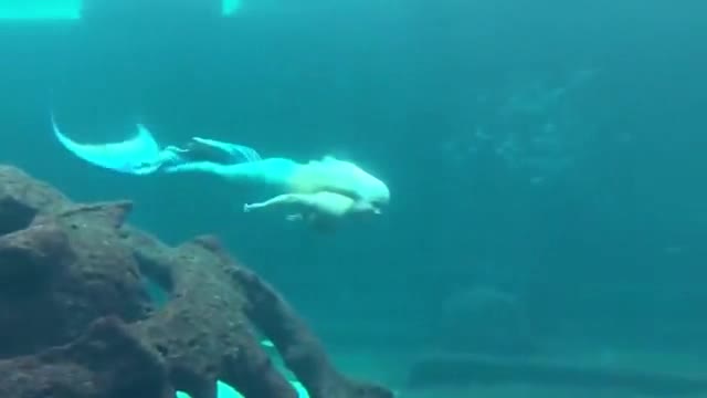 If you don't believe in Mermaids, just watch this.