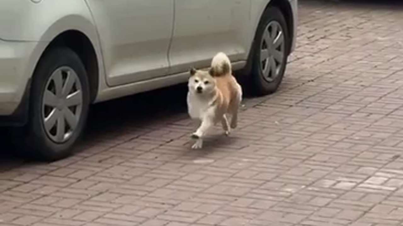 🤣🤣🤣