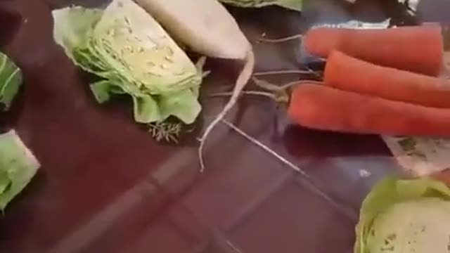 Shanghai people working to ration their vegetables 10APR22