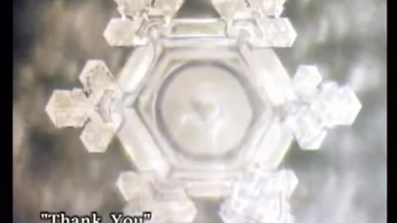 O poder da água completo dublado Dr Massaru Emoto