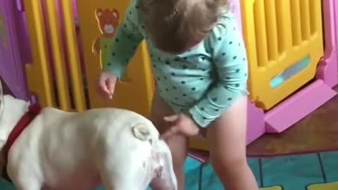 Baby put finger inside dog's butt . What happened next ?