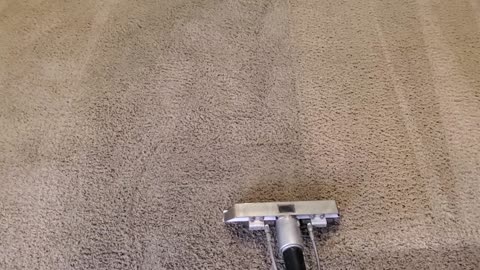 Satisfying Carpet Cleaning