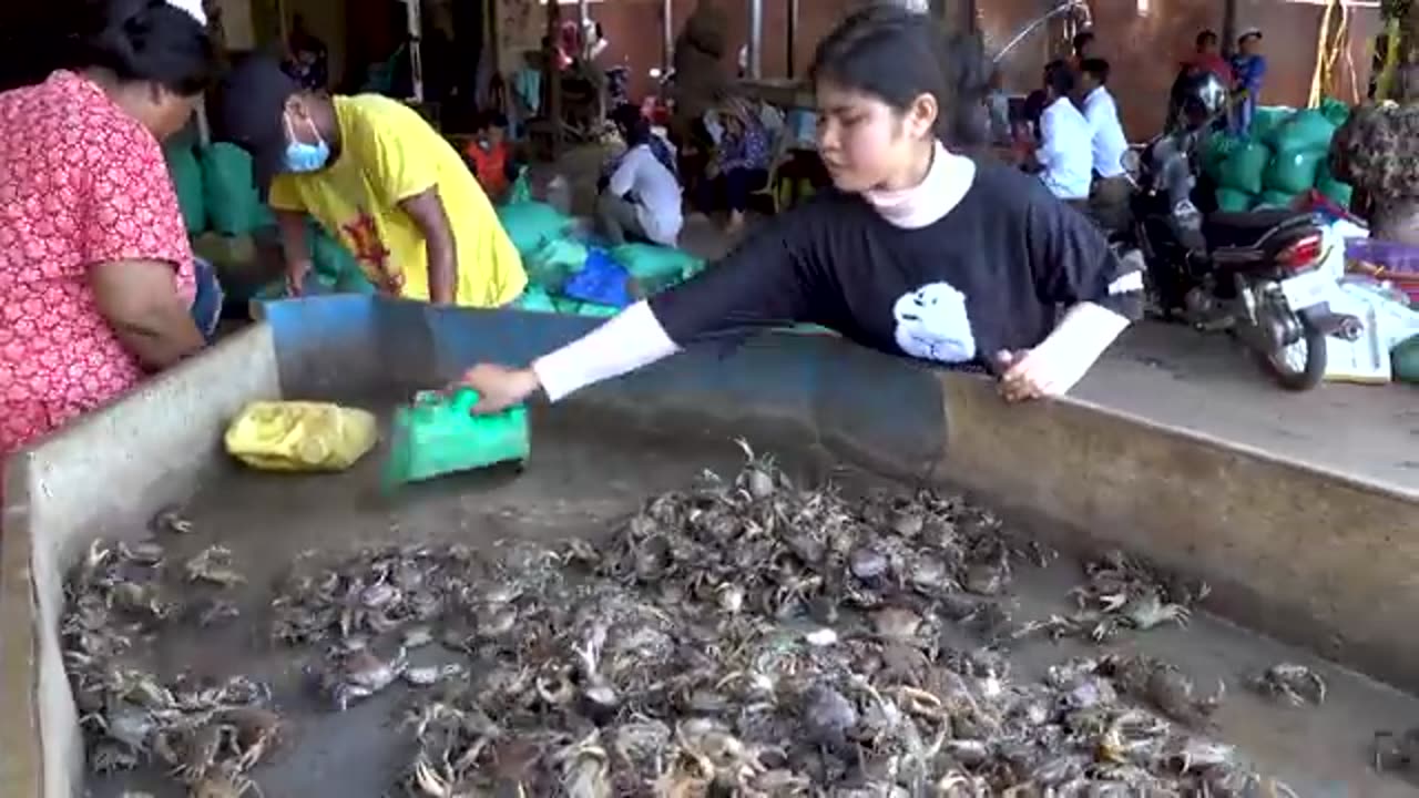 Site Distribution Of Rural Crabs - $ 1 Per Kilogram
