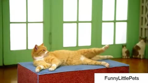You Can't Stop Your Laughter-22