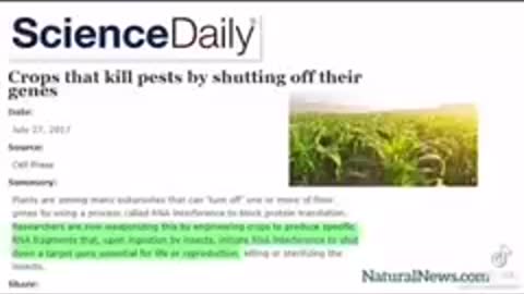 FRANKENFOOD -RNA Targeted - Killer Food