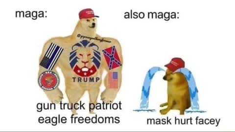 softer than snowflakes