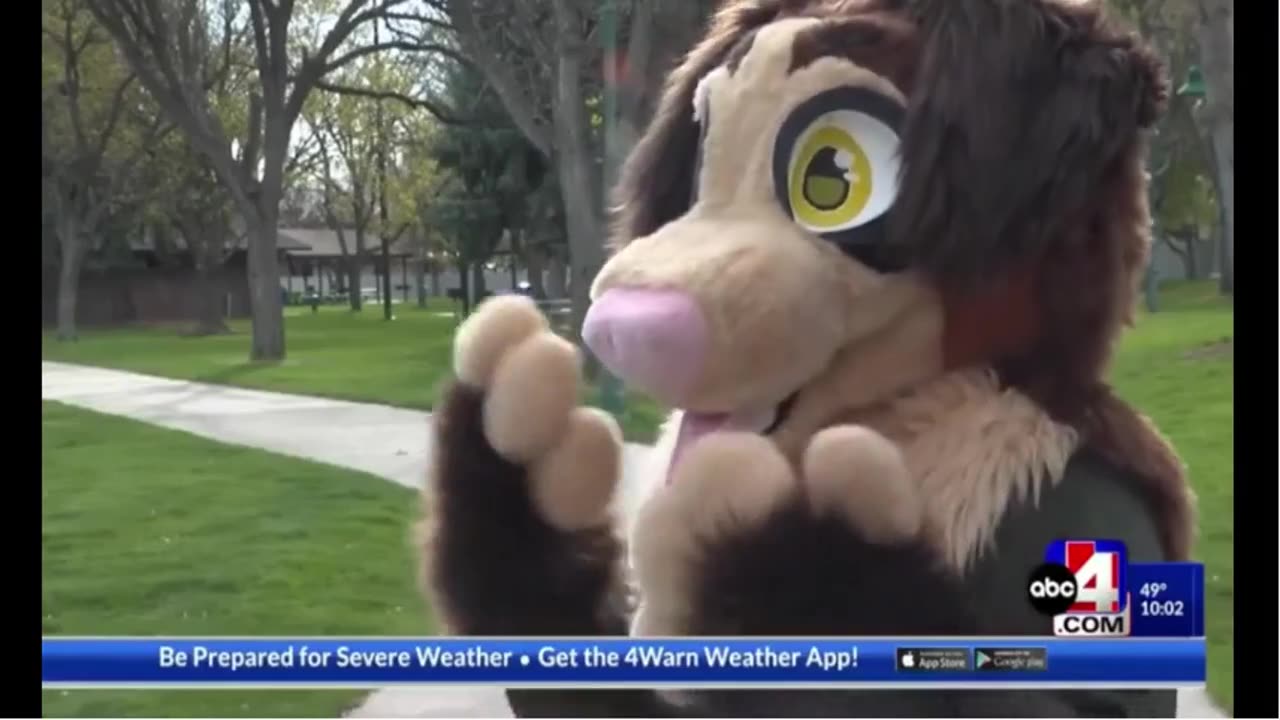 The Insanity Of Democrats Is Worsening - Furries In School