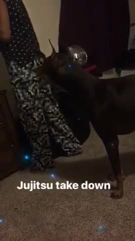Jujitsu Jack the Doberpup