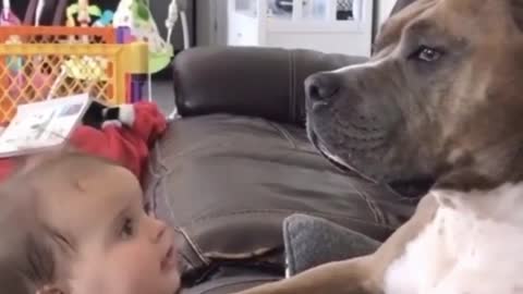 The child's reaction to the sound of the dog