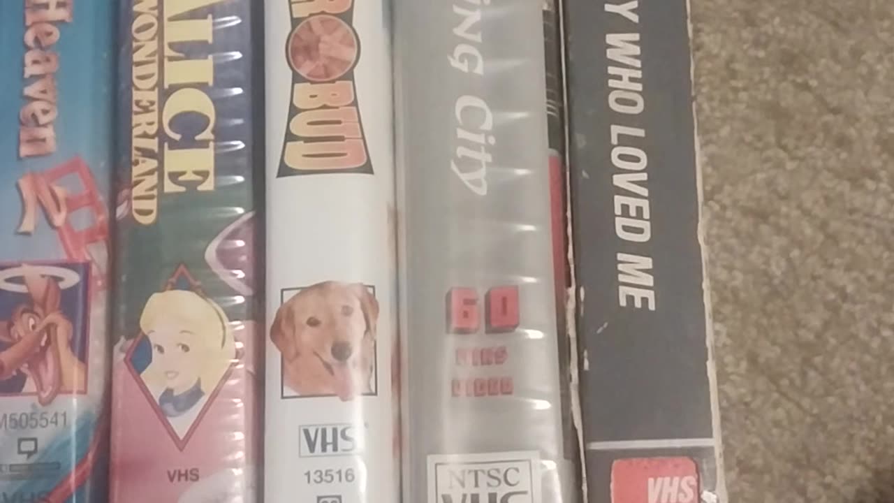 My VHS Tape Collection Part 30