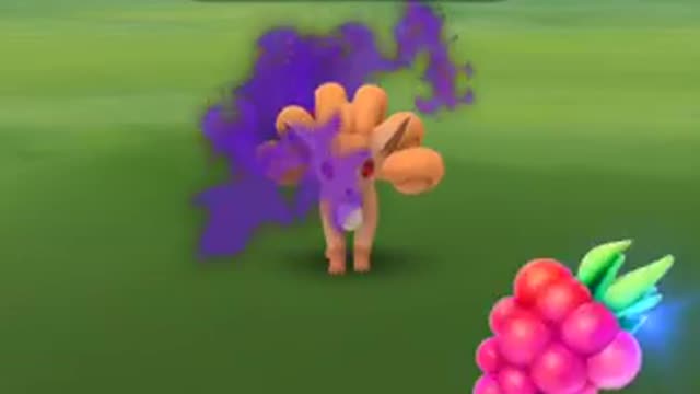 Pokémon GO-Shadow Vulpix