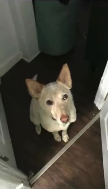 Get the hint pal. Take me out for my walk 🤣