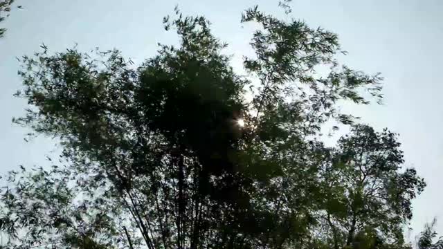 DEEP SLEEP MUSIC AND VIDEO