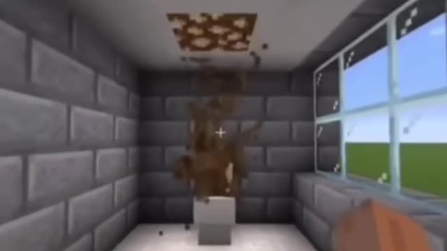 Somebody help me when the toilet pukes.