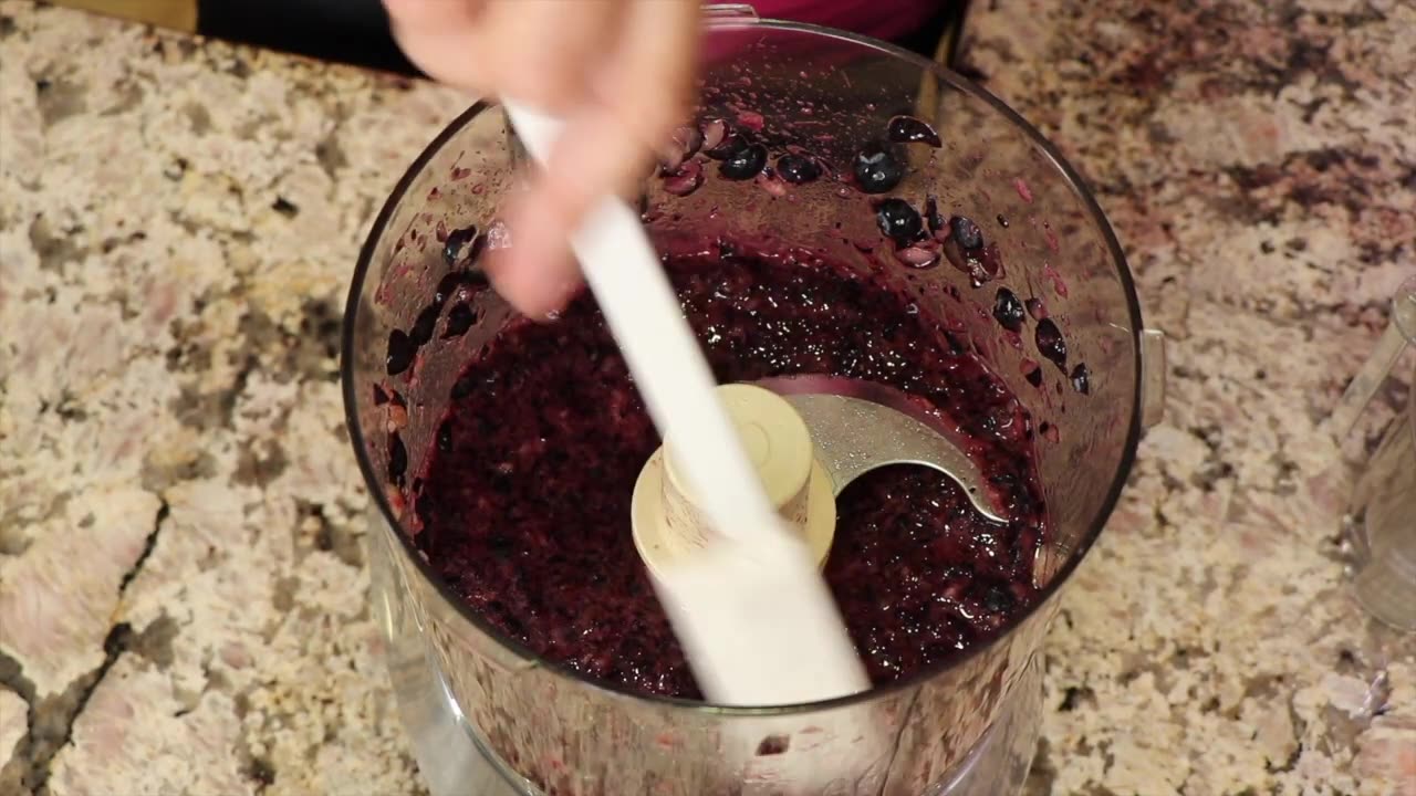 Homemade Blueberry Popsicles _ Real Food Ingredients _ Rockin Robin Cooks