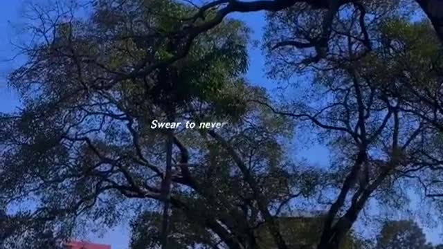 Beautiful scene