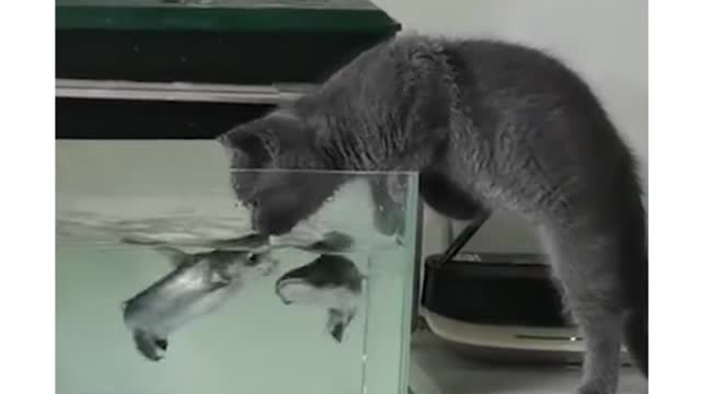 OMG, sh*t, I’m embarrassed to be bitten by a fish