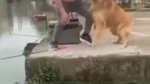 Man fishing look what this dog does.🚶‍♂️🐕