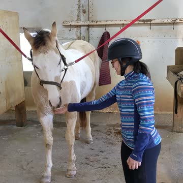 Feeding Gunsmoke cookies