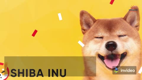 SHIBA INU VS RIPPLE XRP!!!!!!!